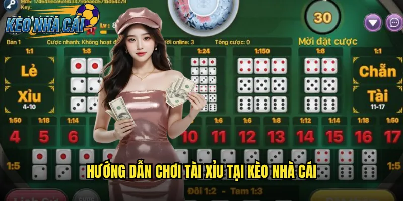 Hướng Dẫn Chơi Tài Xỉu Tại Kèo Nhà Cái