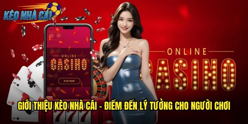 Lợi Ích Khi Tham Gia Kèo Nhà Cái Uy Tín