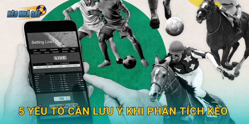 vip 79 - Phân tích và dự đoán chiến thuật từ chuyên gia