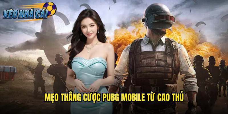 PUBG Mobile Kèo Nhà Cái Đặt Cược Esports Di Động Số Một Thế Giới 3 Mẹo Thắng Cược PUBG Mobile Từ Cao Thủ